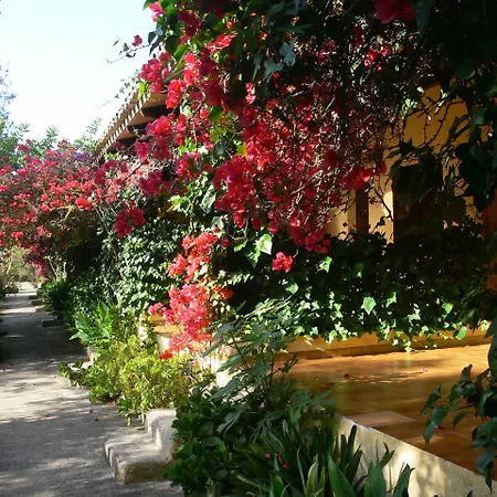 Predio Son Serra Hotell