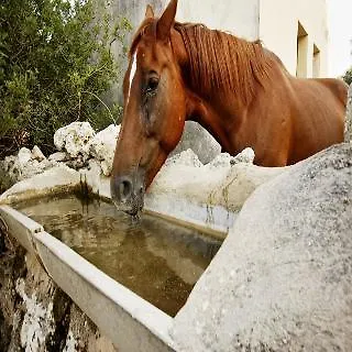 Predio Son Serra Hotel 4*