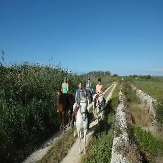 Predio Son Serra Can Picafort (Mallorca)