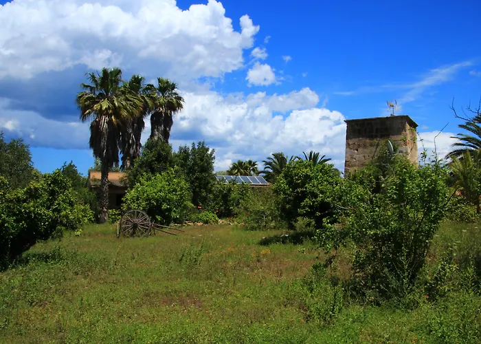 Finca Hotel Predio Son Serra Hotel