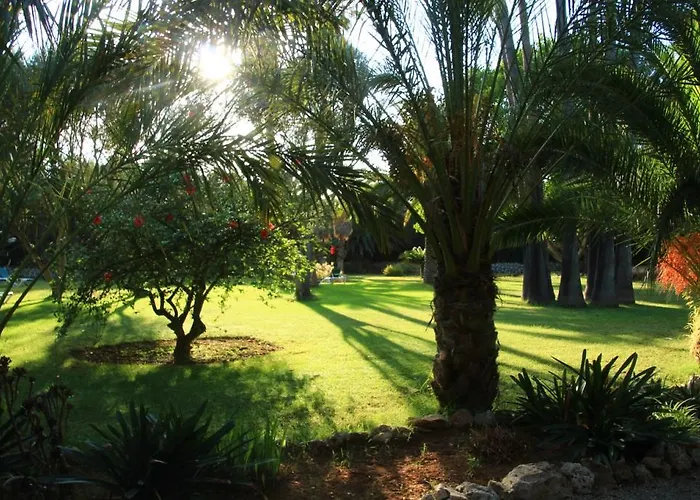 Finca Hotel Predio Son Serra