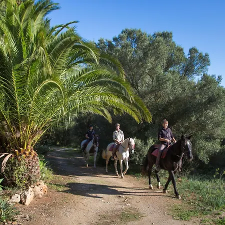 Hotel Predio Son Serra 4*
