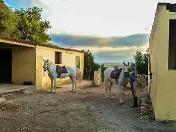 Predio Son Serra فندق