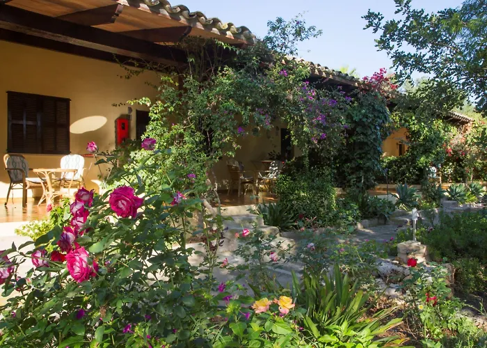 Hotel Predio Son Serra