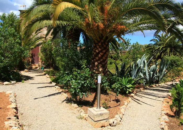 Hotel Predio Son Serra Can Picafort (Mallorca)