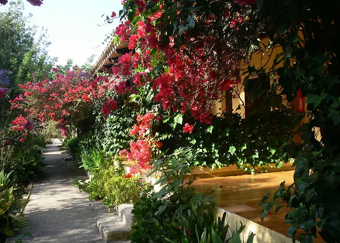 Predio Son Serra Hotel