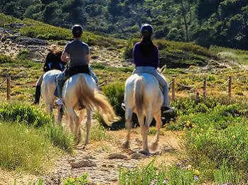 Predio Son Serra Hotel Can Picafort (Mallorca)